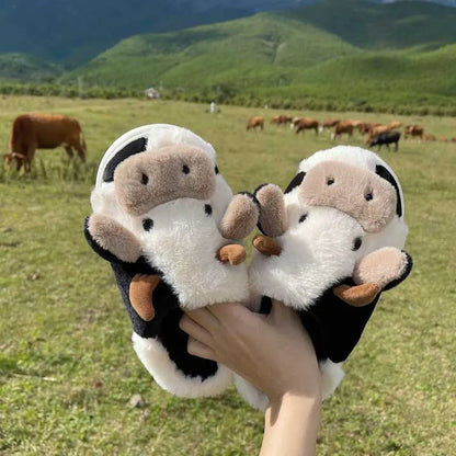 Penny's slippers.