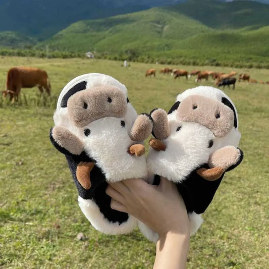 Penny's slippers.